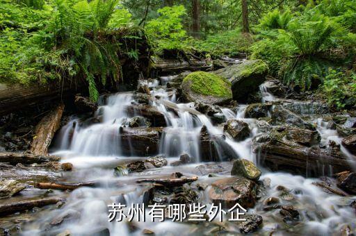 诺华赛系统软件