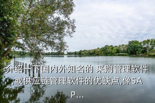 介绍一下国内外知名的 采购管理软件,或供应链管理软件的优缺点,像SAP...
