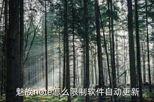  魅族note怎么限制软件自动更新