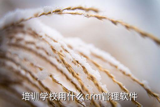 培训学校用什么crm管理软件