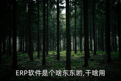 ERP软件是个啥东东哟,干啥用