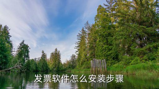 税控系统软件版本,怎样给税控盘安装税控开票软件?