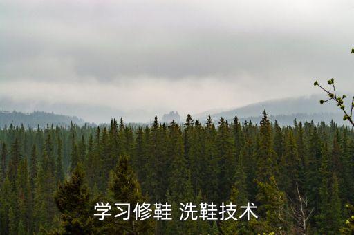 洗鞋系统软件有哪些好,投币洗鞋机怎么样?看这里!