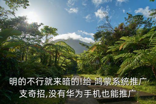 明的不行就来暗的!给 鸿蒙系统推广支奇招,没有华为手机也能推广