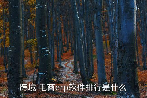 跨境 电商erp软件排行是什么