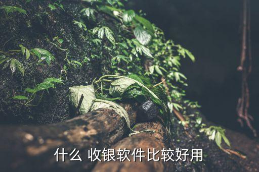 什么 收银软件比较好用