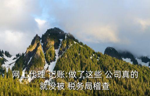 网上代理 记账:做了这些 公司真的就没被 税务局稽查
