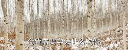 仓管需要学会什么软件
