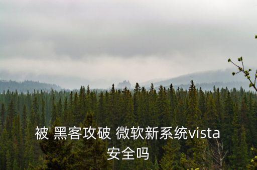 被 黑客攻破 微软新系统vista安全吗