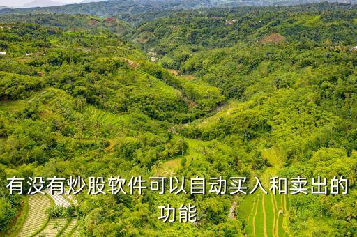 有没有炒股软件可以自动买入和卖出的功能