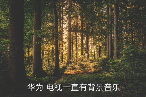  华为 电视一直有背景音乐