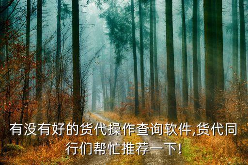 有没有好的货代操作查询软件,货代同行们帮忙推荐一下!