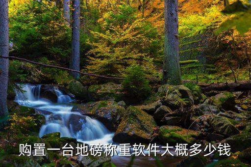 购置一台地磅称重软件大概多少钱