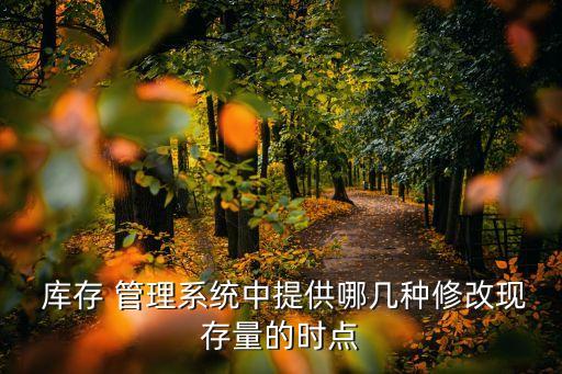  库存 管理系统中提供哪几种修改现存量的时点