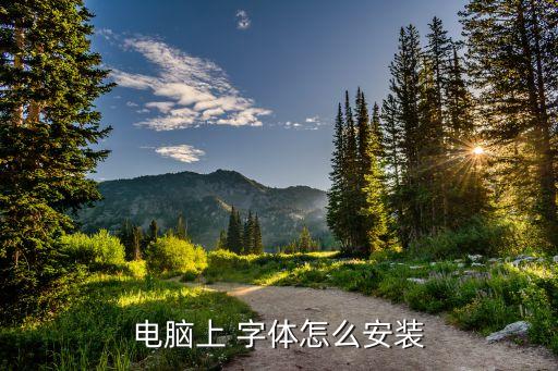 电脑上 字体怎么安装