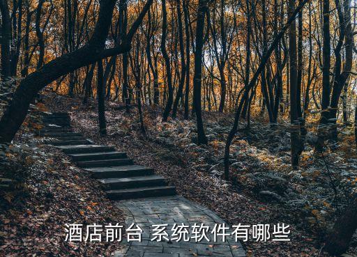 酒店前台 系统软件有哪些