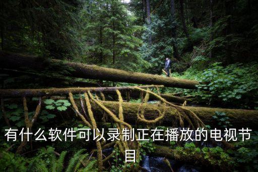 免费高在线清录播系统软件