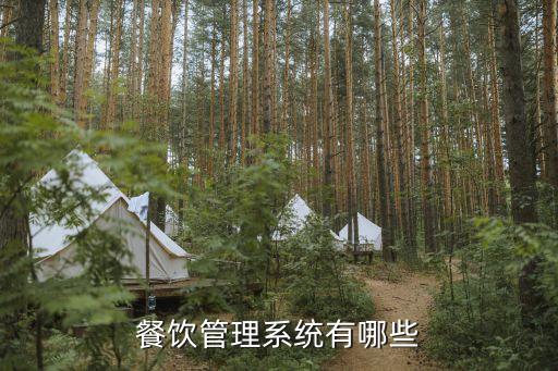 餐厅入账系统软件下载,小美餐厅,赚钱软件下载