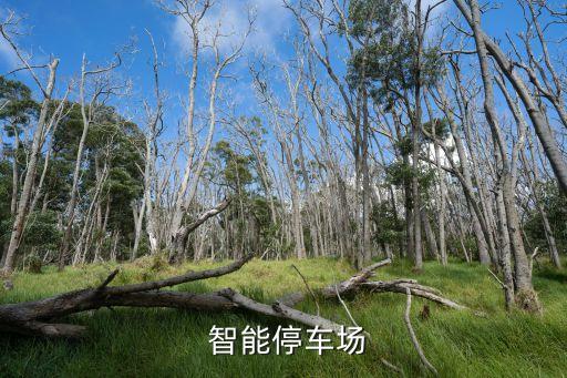  智能停车场