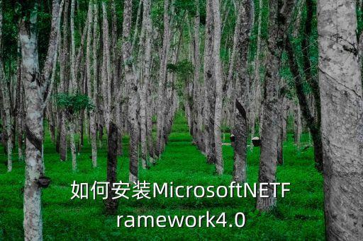 如何安装MicrosoftNETFramework4.0