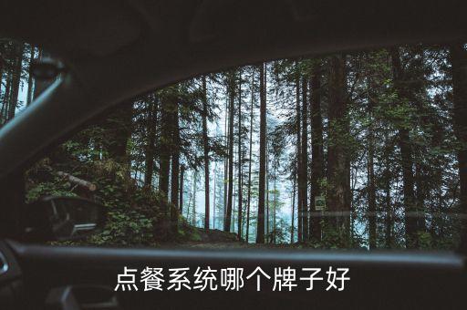 点餐系统哪个牌子好