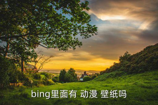 bing里面有 动漫 壁纸吗
