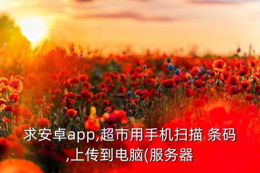 求安卓app,超市用手机扫描 条码,上传到电脑(服务器