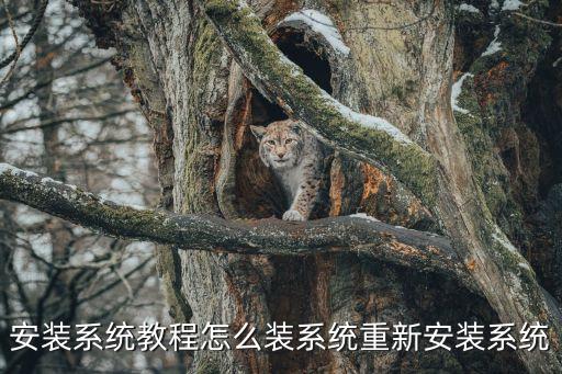 安装系统教程怎么装系统重新安装系统