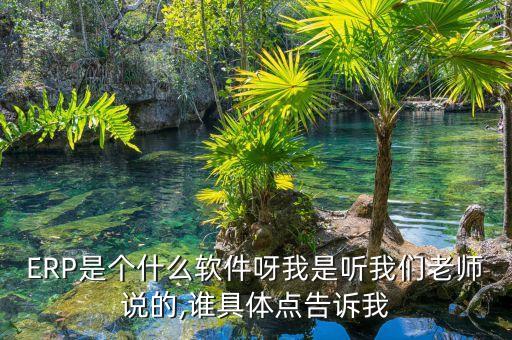 ERP是个什么软件呀我是听我们老师说的,谁具体点告诉我