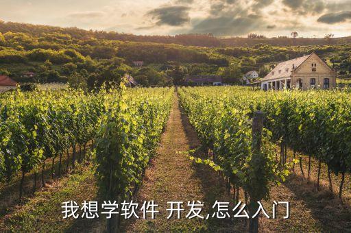 我想学软件 开发,怎么入门