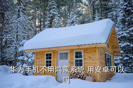 华为还是用安卓系统软件,华为手机不用安卓可以吗?可以用华为软件