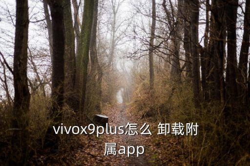 vivox9怎么卸载系统软件,vivo手机怎么软件卸载不了?