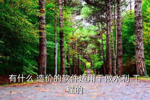 有什么 造价的软件适用于做水利 工程的