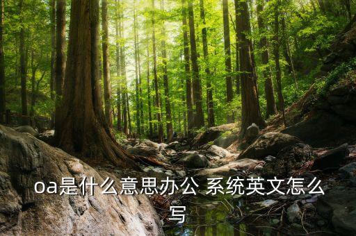  oa是什么意思办公 系统英文怎么写