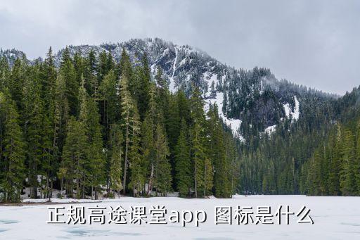 正规高途课堂app 图标是什么