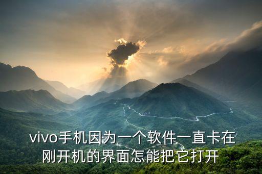 vivo系统软件开不了机,手机系统更新后开不了机怎么办?