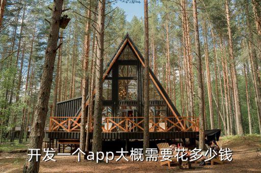 网校系统软件定制费用多少,制作一套金融系统软件大概要多少钱?