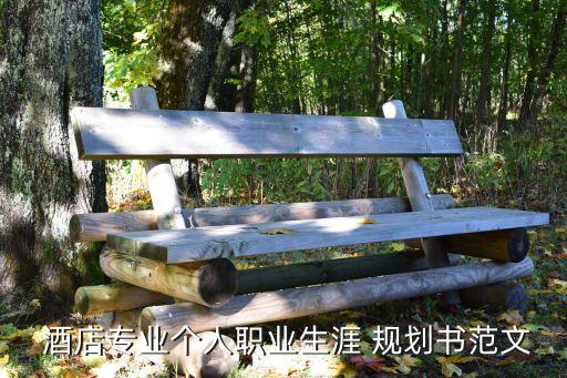  酒店专业个人职业生涯 规划书范文