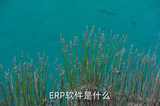 ERP软件是什么