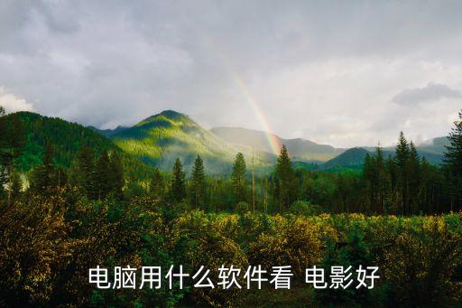 电脑电影售票系统软件,12306售票系统属于系统软件吗