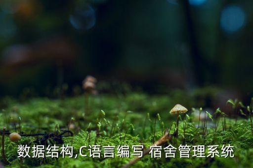 数据结构,C语言编写 宿舍管理系统