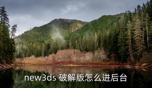 new3ds 破解版怎么进后台