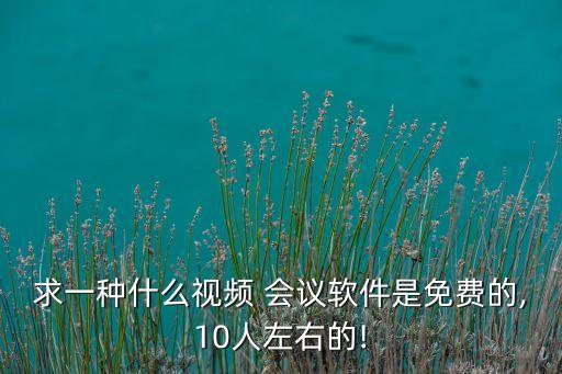 求一种什么视频 会议软件是免费的,10人左右的!