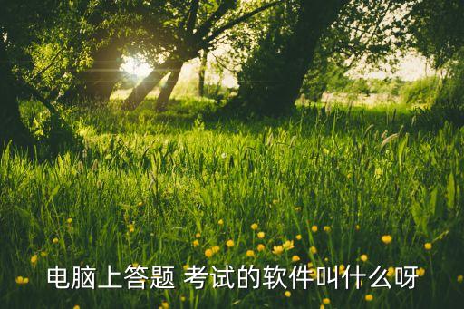 电脑上答题 考试的软件叫什么呀