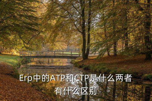 Erp中的ATP和CTP是什么两者有什么区别