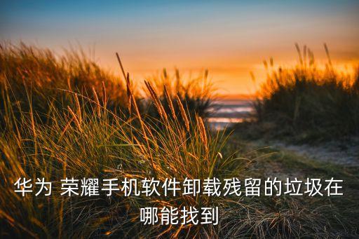 华为 荣耀手机软件卸载残留的垃圾在哪能找到