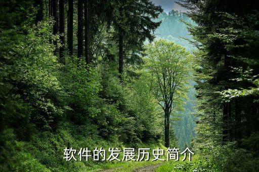 软件的发展历史简介
