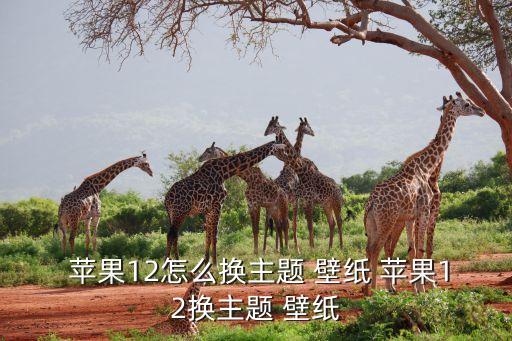 木制手机壁纸苹果系统软件
