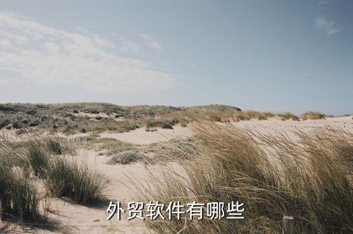 外贸软件有哪些