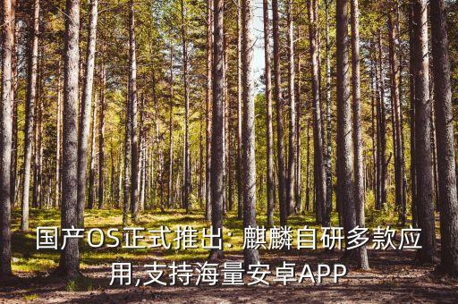 麒麟系统软件商店更新代码
